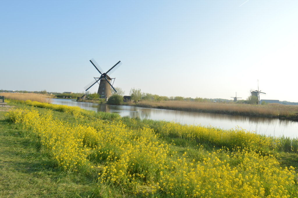 Il nostro itinerario di viaggio in camper in Olanda 2 Sito Unesco di Kinderdijk
