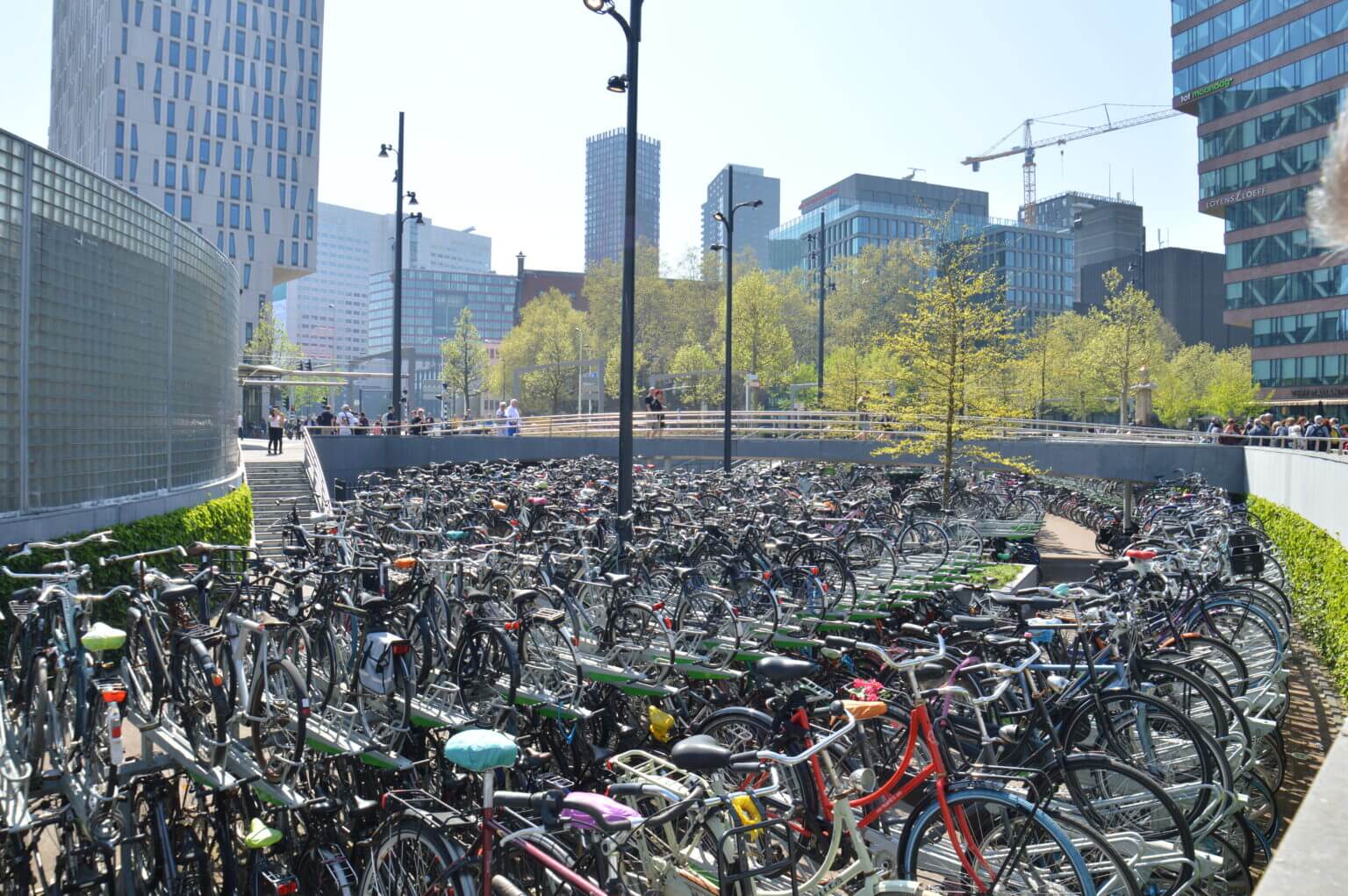 Il nostro itinerario di viaggio in camper in Olanda 4 Rotterdam, Parcheggio per biciclette.