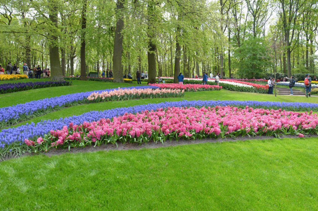 Il nostro itinerario di viaggio in camper in Olanda 1 keukenof 1024x681 1